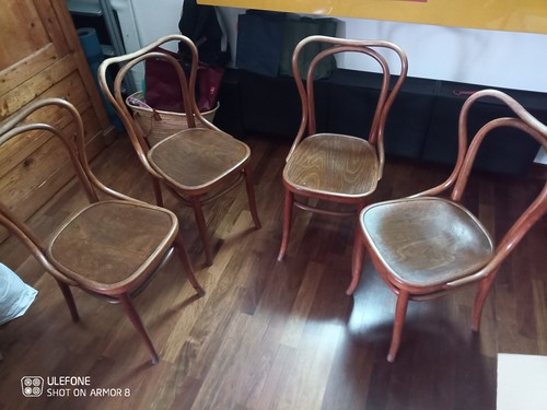 Seggiole faggio curvato - in,